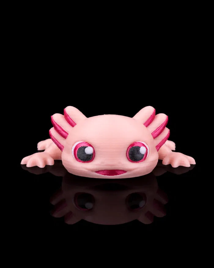 Ashley the Axolotl | Mesh Buddy