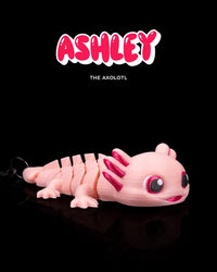 Ashley the Axolotl | Mesh Buddy