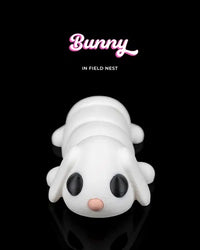 Bunny in Field Nest