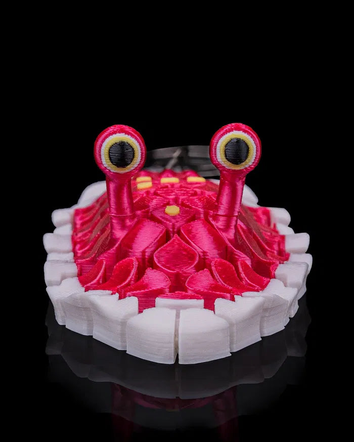 Doug the Sea Slug | Mesh Buddy