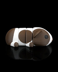 Guinea Pig in Field Nest