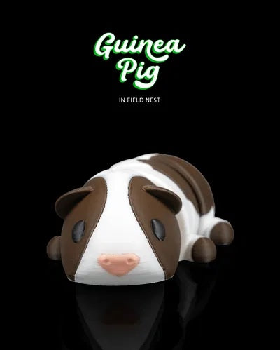 Guinea Pig in Field Nest