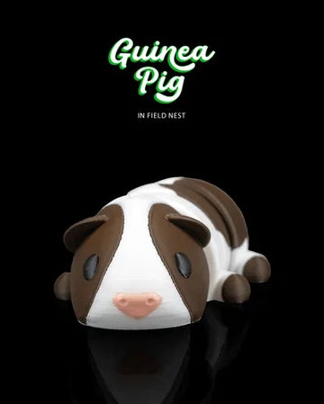 Guinea Pig in Field Nest