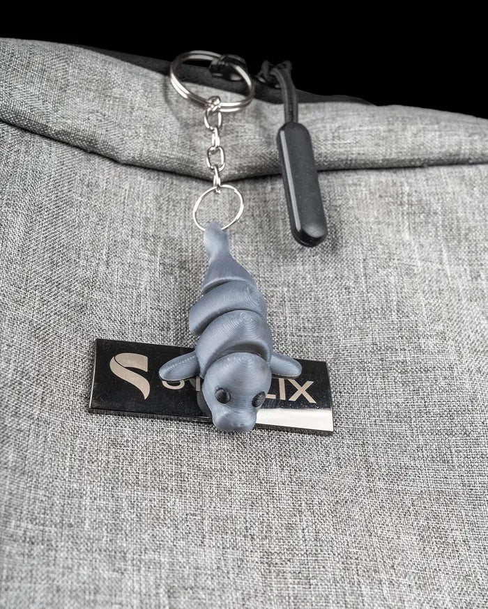 Manatee in Ocean Rest