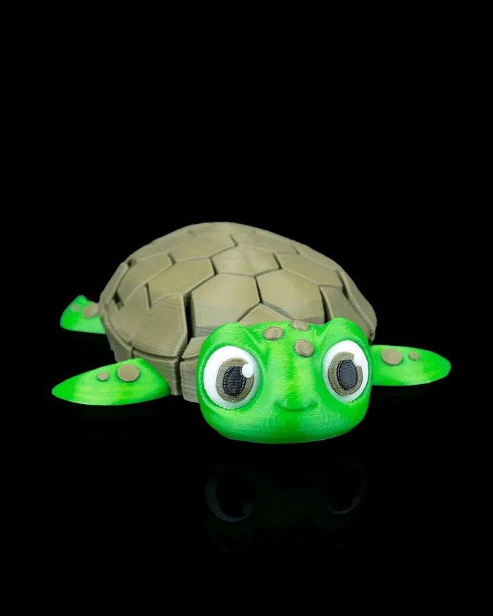 Myrtle the Turtle | Mesh Buddy