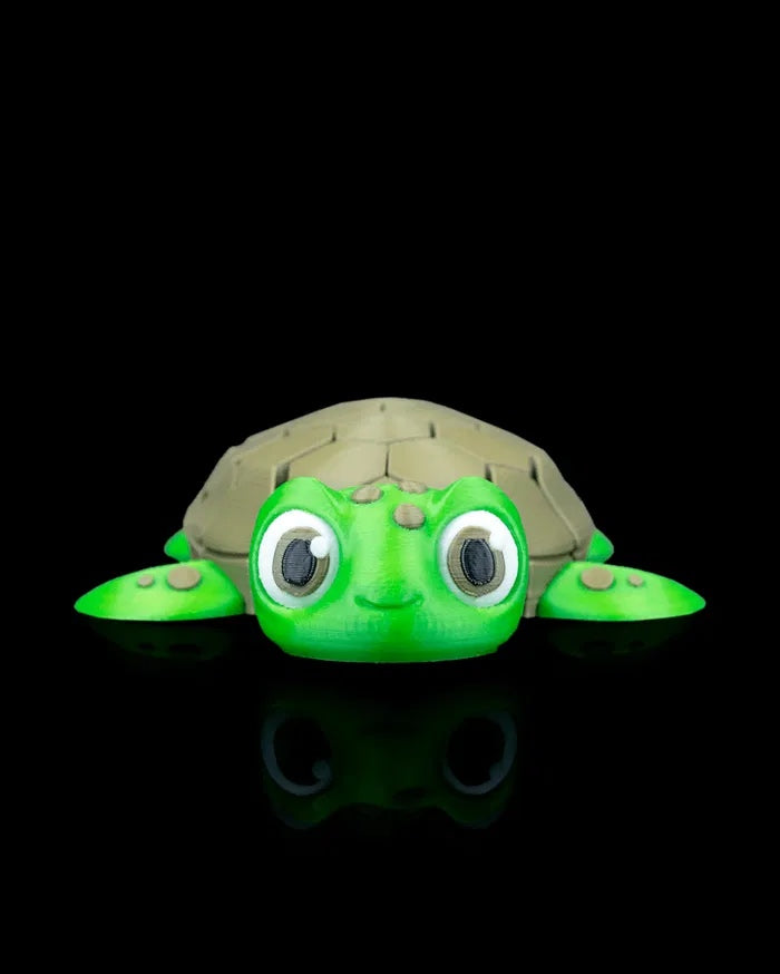 Myrtle the Turtle | Mesh Buddy