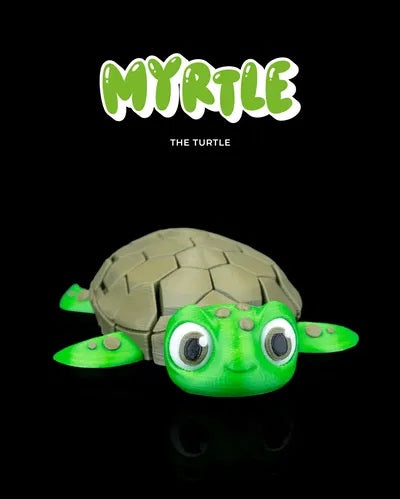 Myrtle the Turtle | Mesh Buddy