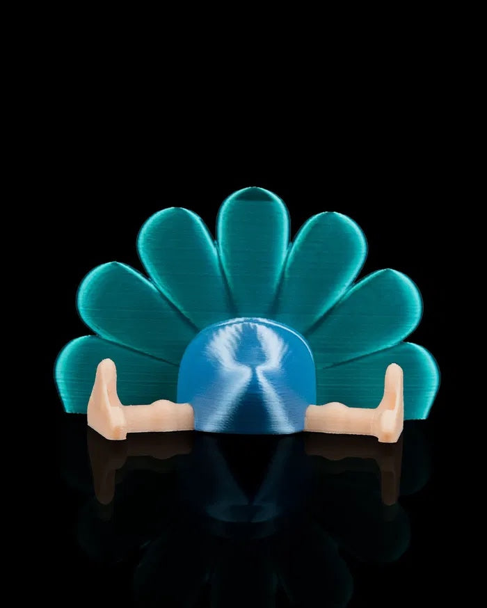 Peacock in Field Nest