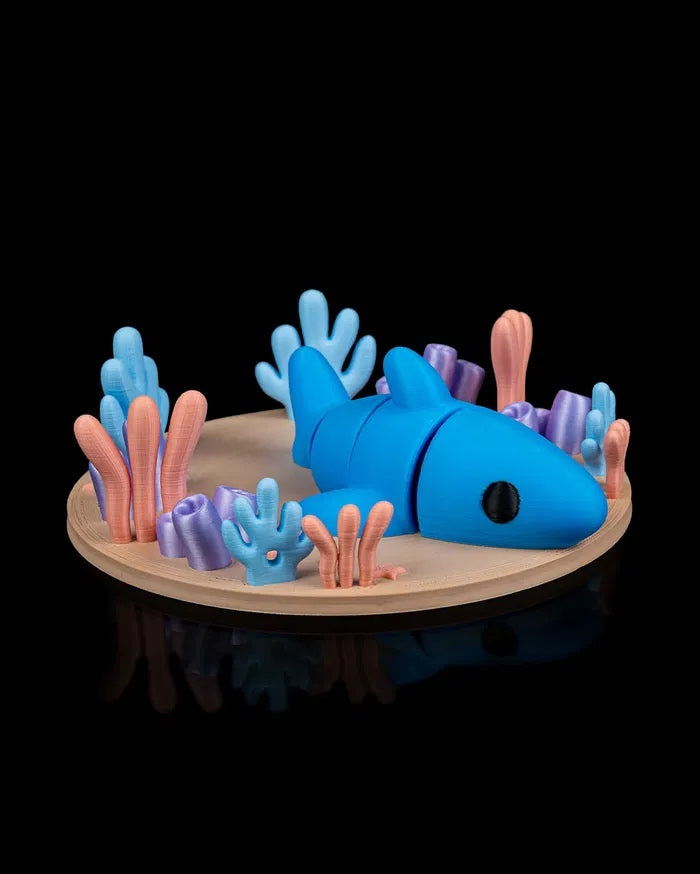 Ocean Rest | Coral Reef Habitat
