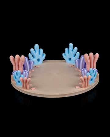 Ocean Rest | Coral Reef Habitat