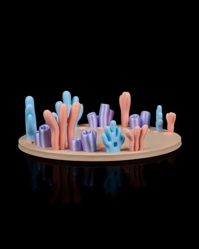 Ocean Rest | Coral Reef Habitat