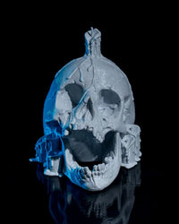 Skull Candle 1 3c14dd97e5