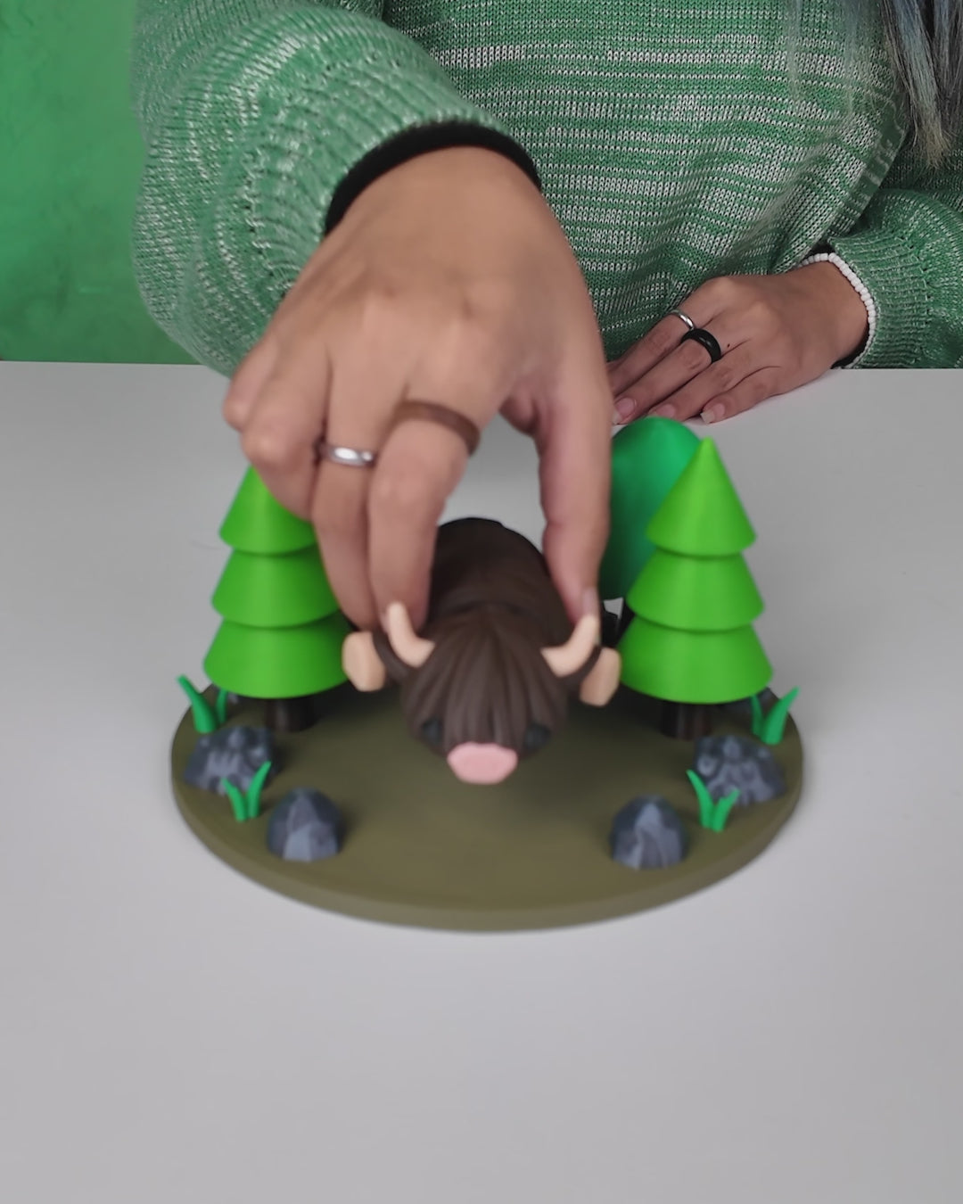 Highland Cow in Field Nest