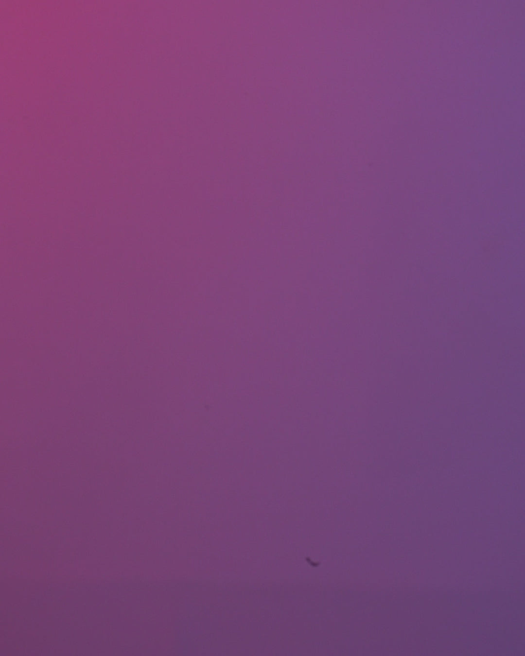 Pandarcade | Panda Figurine