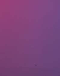 Pandarcade | Panda Figurine