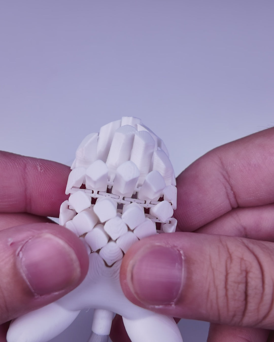 Pat the Cat | Mesh Buddy