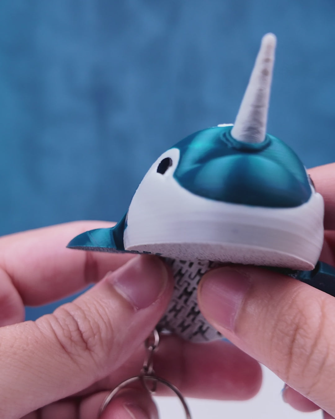 Paul the Narwhal | Mesh Buddy