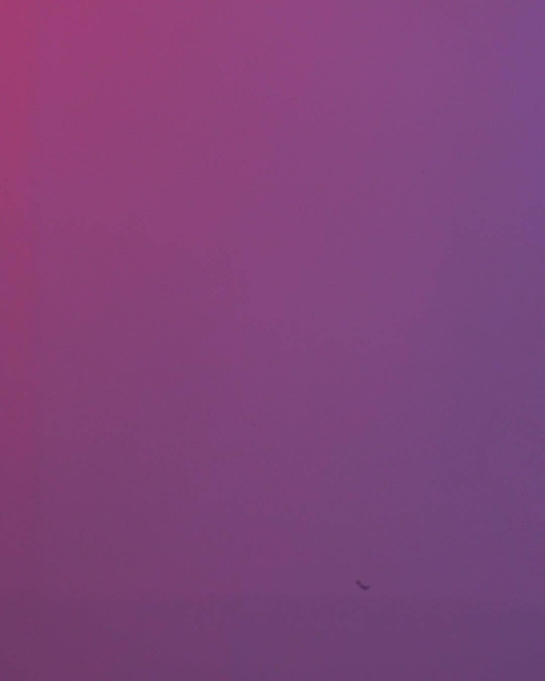 Pandream | Panda Figurine