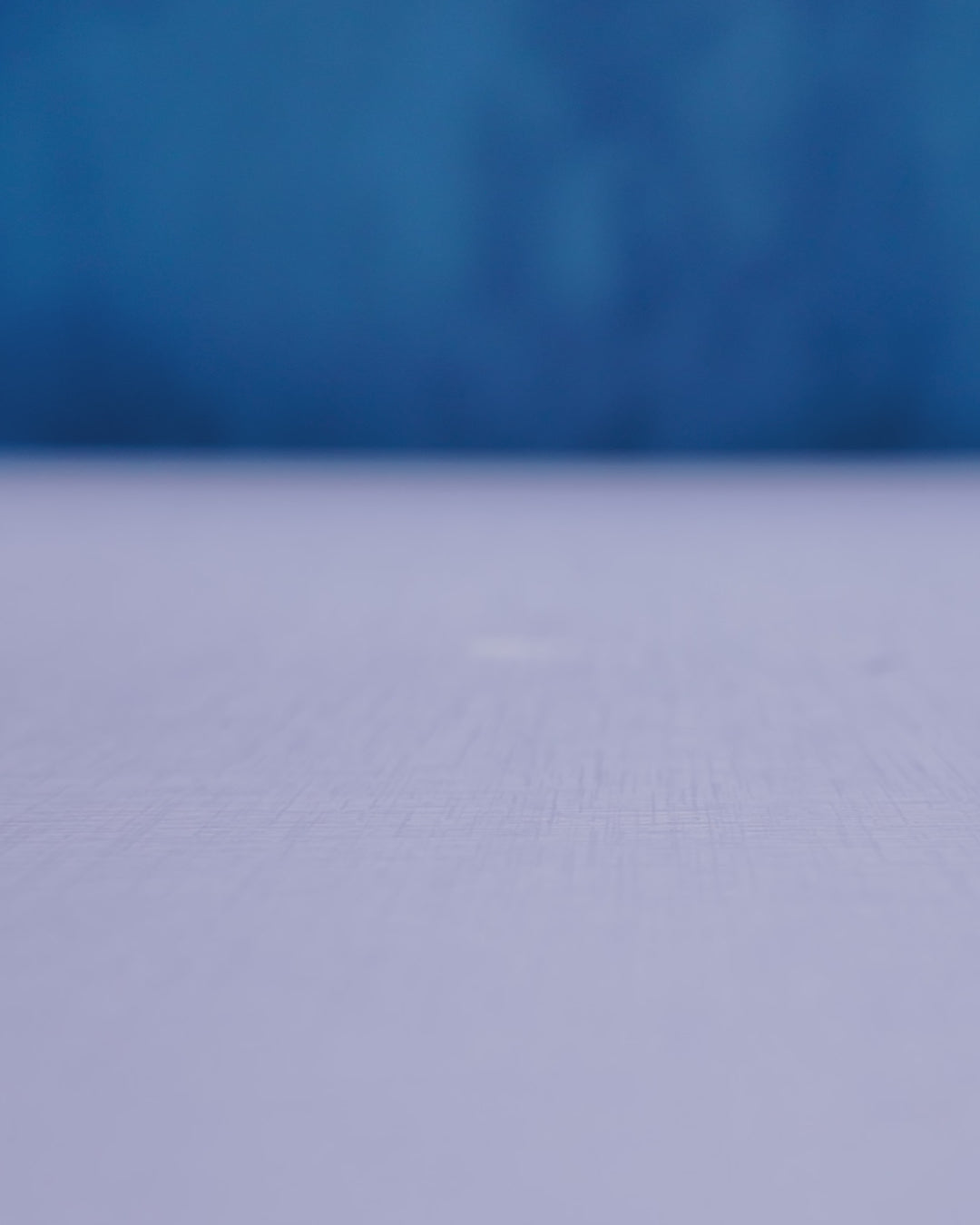 Myrtle the Turtle | Mesh Buddy