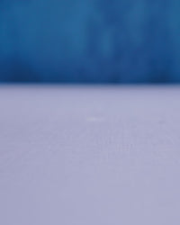 Myrtle the Turtle | Mesh Buddy