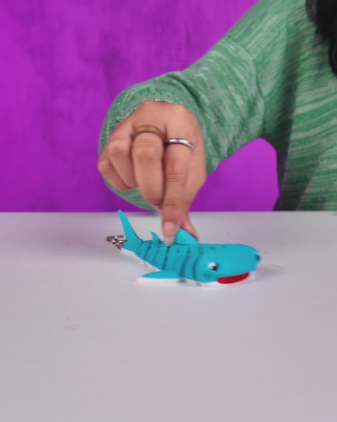 Mark the Whale Shark | Mesh Buddy