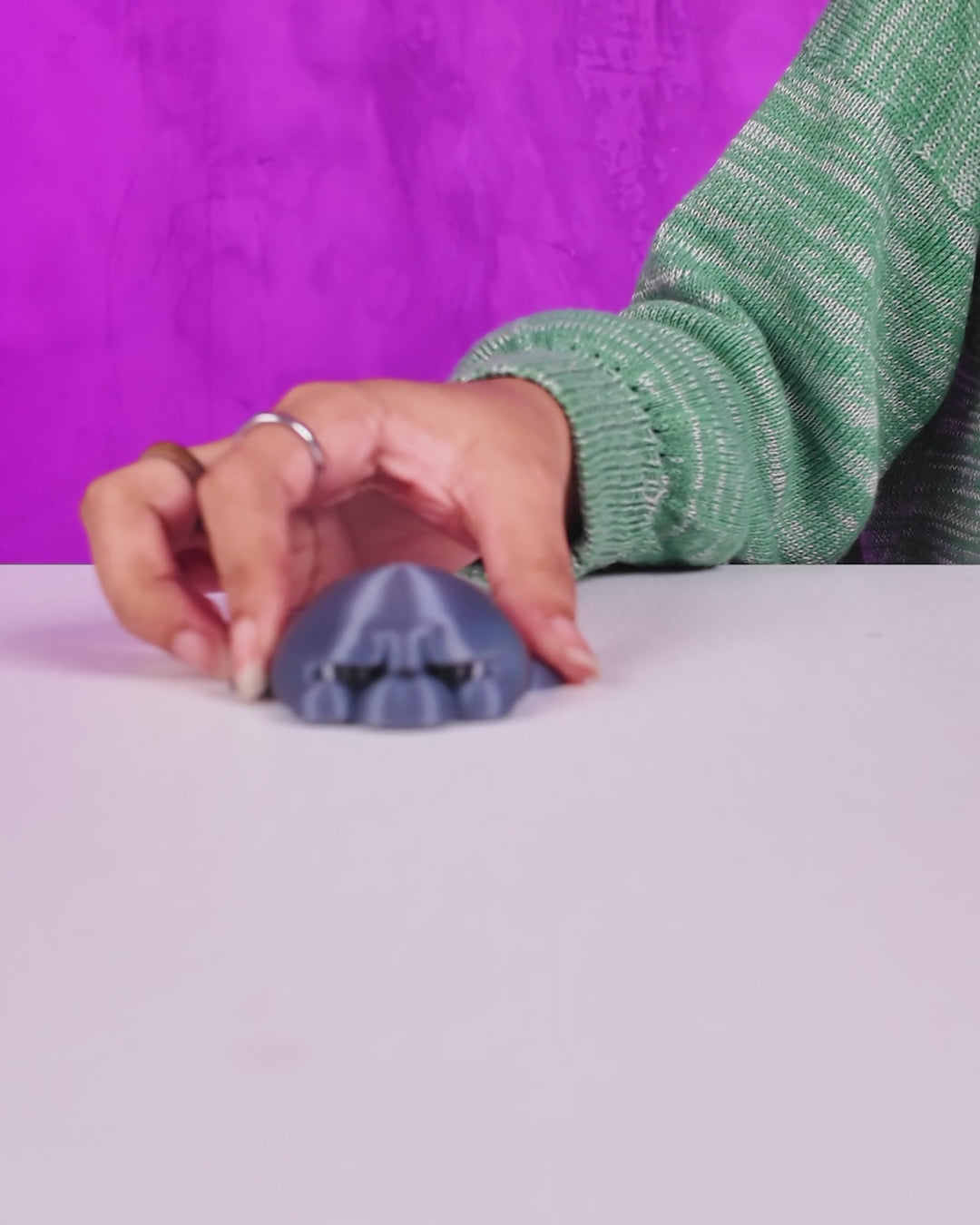 Phil the Seal | Mesh Buddy