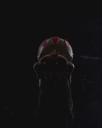 Terror-antula | Creepy Crawler Mini Figurine