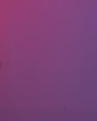 Pumpanda | Panda Figurine