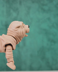 Louis the Shar Pei | Articulated Dog Toy